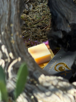 Olivert Dawn Collection Soap Under A 6000 Year Old Olive Tree Bathing In The Golden Hour Sunlight